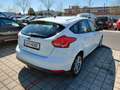 Ford Focus Focus 1,5 TDCi Titanium Titanium Weiß - thumbnail 3