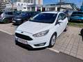 Ford Focus Focus 1,5 TDCi Titanium Titanium Weiß - thumbnail 1