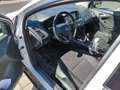 Ford Focus Focus 1,5 TDCi Titanium Titanium Weiß - thumbnail 8