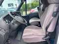 Iveco 35 S11 V *L4H2* Weiß - thumbnail 10