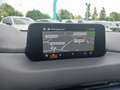 Mazda CX-5 G160 2,0i AWD ALLRAD Attraction Automatik Rot - thumbnail 13