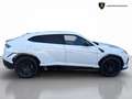 Lamborghini Urus Urus 4.0 S V8 auto - IVA ESPOSTA Weiß - thumbnail 7