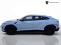 Lamborghini Urus Urus 4.0 S V8 auto - IVA ESPOSTA Weiß - thumbnail 6