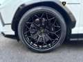 Lamborghini Urus Urus 4.0 S V8 auto - IVA ESPOSTA Weiß - thumbnail 11