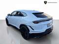 Lamborghini Urus Urus 4.0 S V8 auto - IVA ESPOSTA Weiß - thumbnail 5