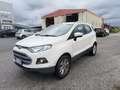 Ford EcoSport 1.5 TDCi 95 CV Plus Bianco - thumbnail 1