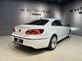 Volkswagen CC Basis BMT DSG*RFK*PDC*SITZHEIZUNG*BI-XENON*NAVI* Weiß - thumbnail 8
