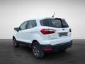 Ford EcoSport 1.0 EcoBoost Cool&Connect Fehér - thumbnail 5