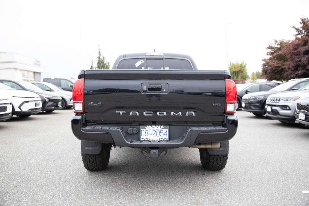 Image 5