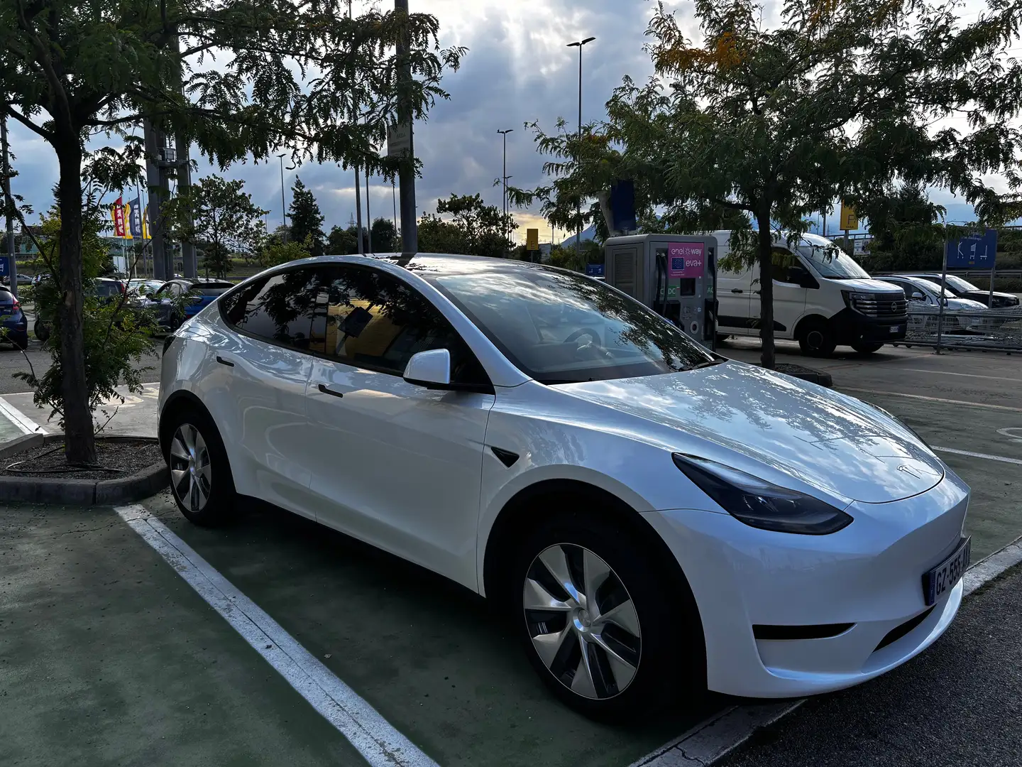 Tesla Model Y Model Y Single Motor rwd Bianco - 1