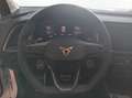 CUPRA Ateca 2.0 TSI DSG 4Drive Businesspaket AHK Weiß - thumbnail 12