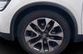 Renault Koleos Koleos Limited 4x4 Weiß - thumbnail 7