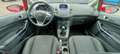 Ford Fiesta Fiesta VI 2013 5p 1.5 tdci Plus 75cv E6 Rosso - thumbnail 7