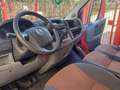 Fiat Ducato Fiat ducato maxi 2008 motore appena fatto Rojo - thumbnail 13