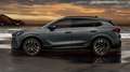 CUPRA Terramar VZ 2.0 TSI DSG 4Drive CTL Grau - thumbnail 4