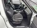 Renault Scenic IV Grand BOSE Edition/Navi/Kamera/LED/AHK Schwarz - thumbnail 19