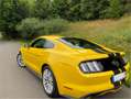 Ford Mustang Mustang 5.0 Ti-VCT V8 GT Gelb - thumbnail 4