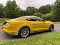 Ford Mustang Mustang 5.0 Ti-VCT V8 GT Gelb - thumbnail 3