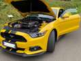 Ford Mustang Mustang 5.0 Ti-VCT V8 GT Gelb - thumbnail 9