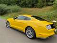 Ford Mustang Mustang 5.0 Ti-VCT V8 GT Gelb - thumbnail 5