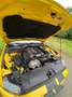 Ford Mustang Mustang 5.0 Ti-VCT V8 GT Gelb - thumbnail 10