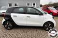 smart forFour 70 1.0 Passion KLIMA GARANZIA + ALTRE DISP Bianco - thumbnail 5