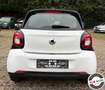 smart forFour 70 1.0 Passion KLIMA GARANZIA + ALTRE DISP Bianco - thumbnail 8