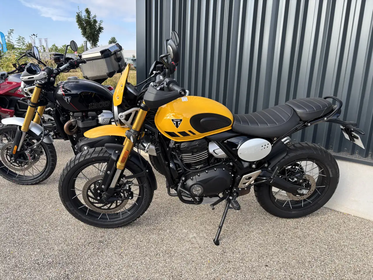Triumph Scrambler 400 X