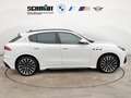 Maserati Grecale Trofeo + GARANTIE Weiß - thumbnail 7