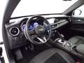 Alfa Romeo Stelvio - Stelvio 2.2 t Ti Q4 210cv auto Blanc - thumbnail 11