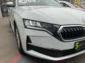 Skoda Octavia Kombi Selection DSG Weiß - thumbnail 9
