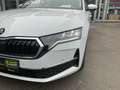Skoda Octavia Kombi Selection DSG Weiß - thumbnail 11