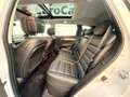 Renault Koleos Koleos Blue dCi 150 CV X-Tronic Initiale Paris Blanc - thumbnail 25