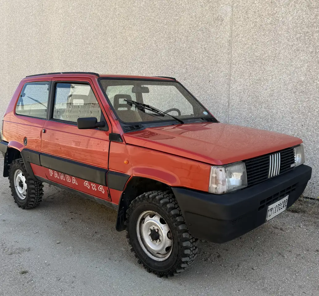Fiat Panda 1.0 4x4 my86, foto 1