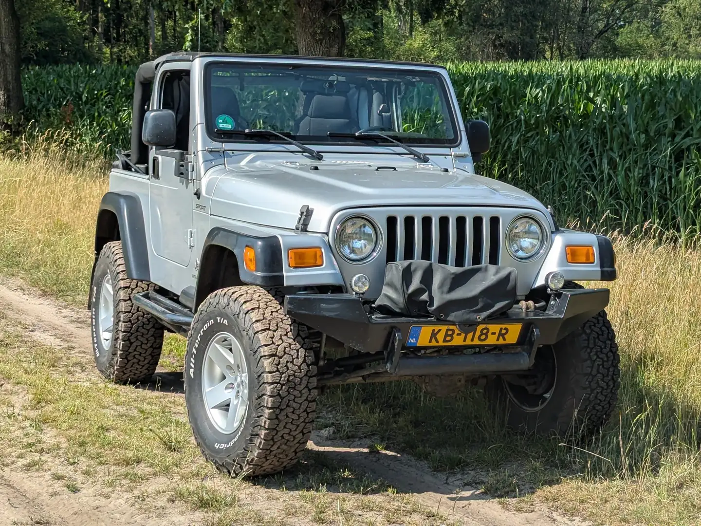 Jeep Wrangler Wrangler TJ 4.0i Softtop Zilver - 1