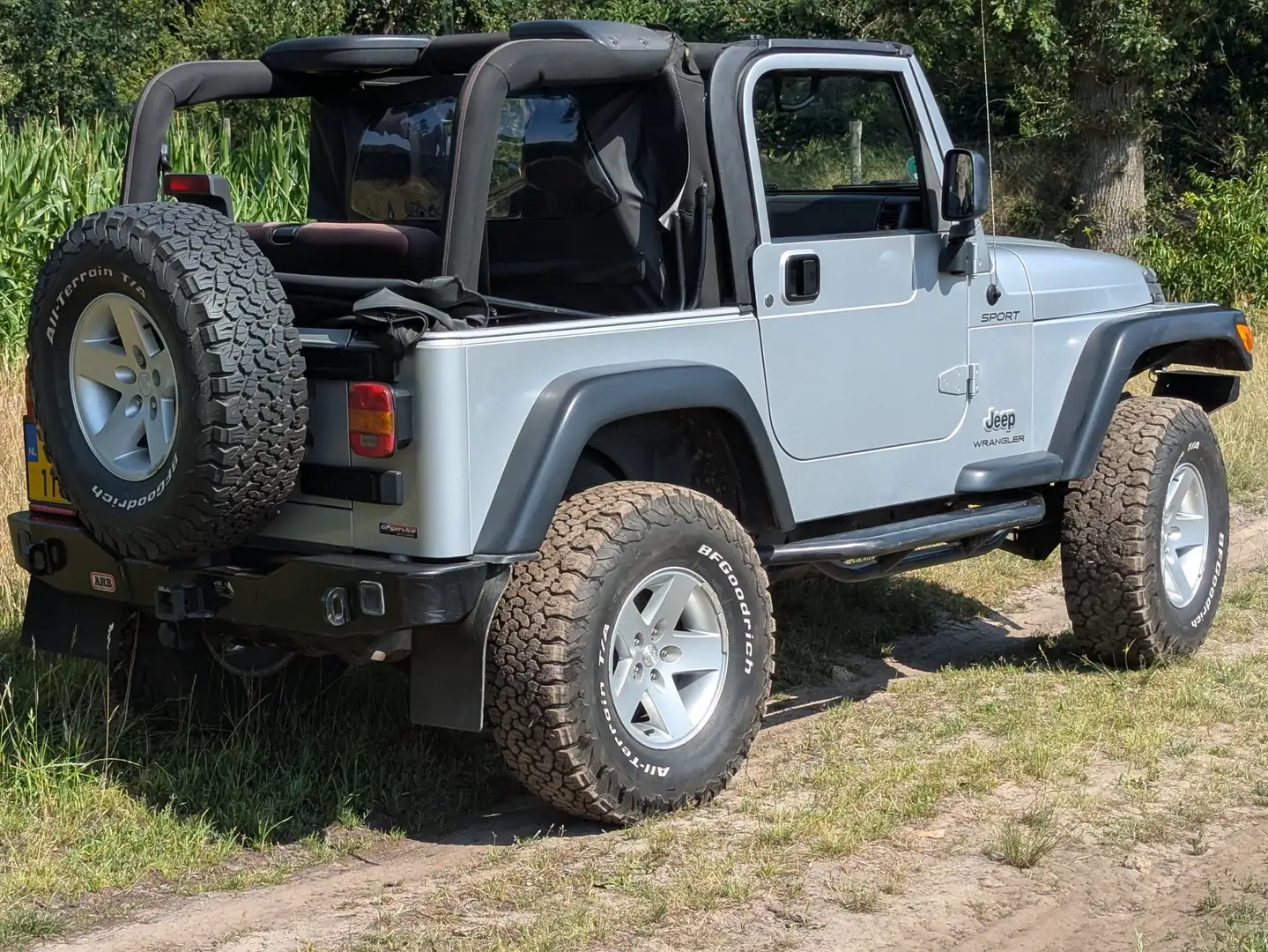 Jeep Wrangler Wrangler TJ 4.0i Softtop Zilver - 2