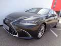 Lexus ES 300 h Luxury Line Aut. Grigio - thumbnail 2