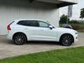 Volvo XC60 2.0 Toit Ouvr, Harman/Kardon, Attelage Electrique Bianco - thumbnail 5