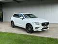 Volvo XC60 2.0 Toit Ouvr, Harman/Kardon, Attelage Electrique Bianco - thumbnail 6