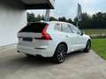 Volvo XC60 2.0 Toit Ouvr, Harman/Kardon, Attelage Electrique Bianco - thumbnail 4