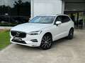 Volvo XC60 2.0 Toit Ouvr, Harman/Kardon, Attelage Electrique Bianco - thumbnail 1