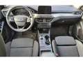 Ford Focus 2.0 EcoBlue Titanium B&O AHK ACC Bleu - thumbnail 5