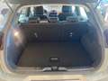Ford Puma 1.0 EcoBoost Hybrid Titanium | Beperkte Voorraad! - thumbnail 25