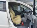 Suzuki Alto 🟢1.0 ESSENCE 68CV - CLIMATISATION - CUIR Weiß - thumbnail 12