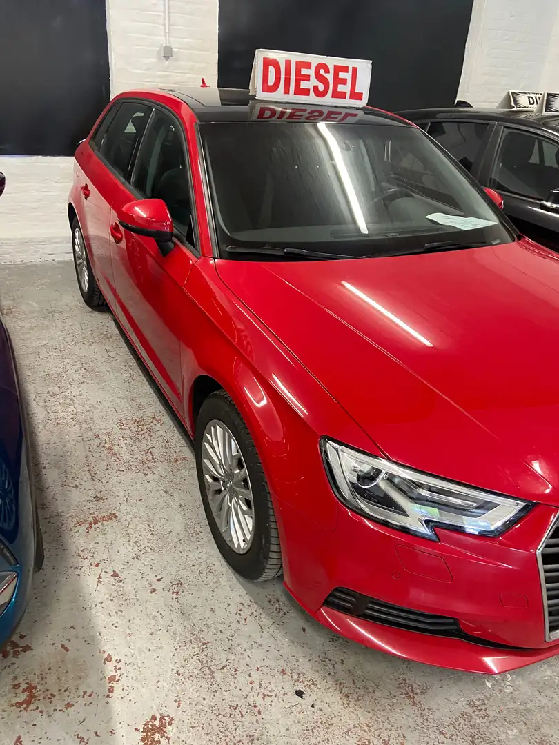 Audi A3 1.6 TDi Design Rojo - 2