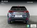 Lexus UX 250h Premium 4WD Grau - thumbnail 5