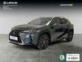 Lexus UX 250h Premium 4WD Grau - thumbnail 1