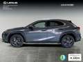 Lexus UX 250h Premium 4WD Grau - thumbnail 3