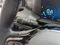 Ford Tourneo Custom Transit Custom Kombi Trail L2 8-Sitzer! Gris - thumbnail 18