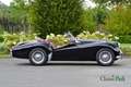 Triumph TR2 Noir - thumbnail 18